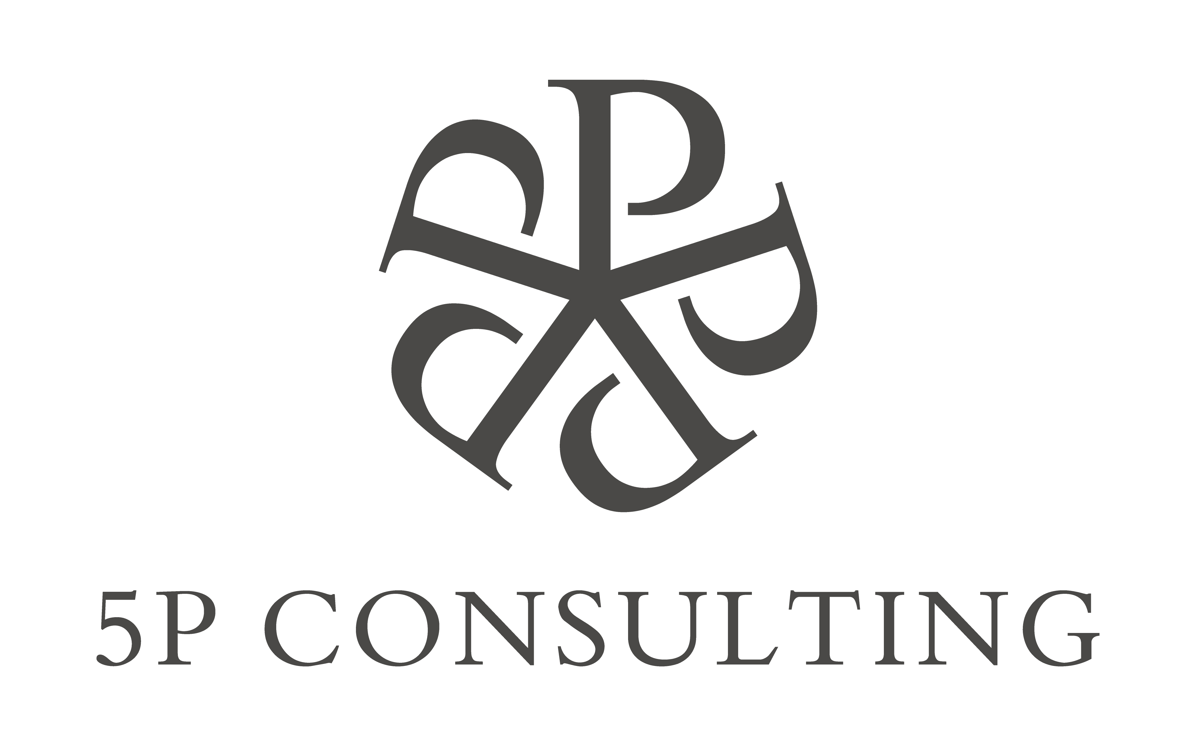 5P Consulting, LLC logo