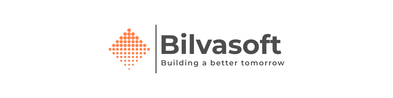 Bilvasoft LLC logo