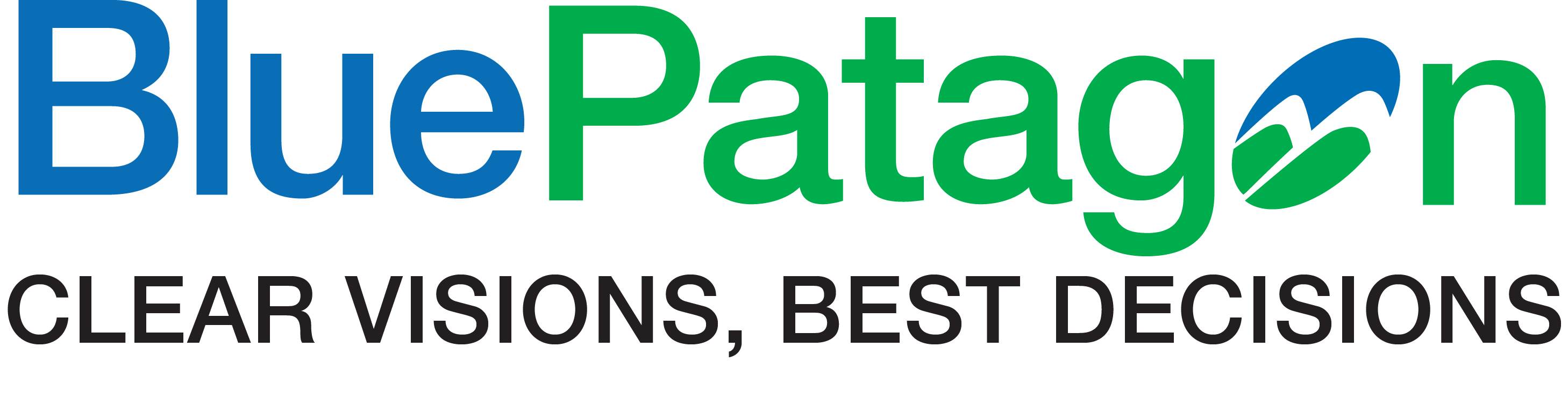 Blue Patagon SRL logo