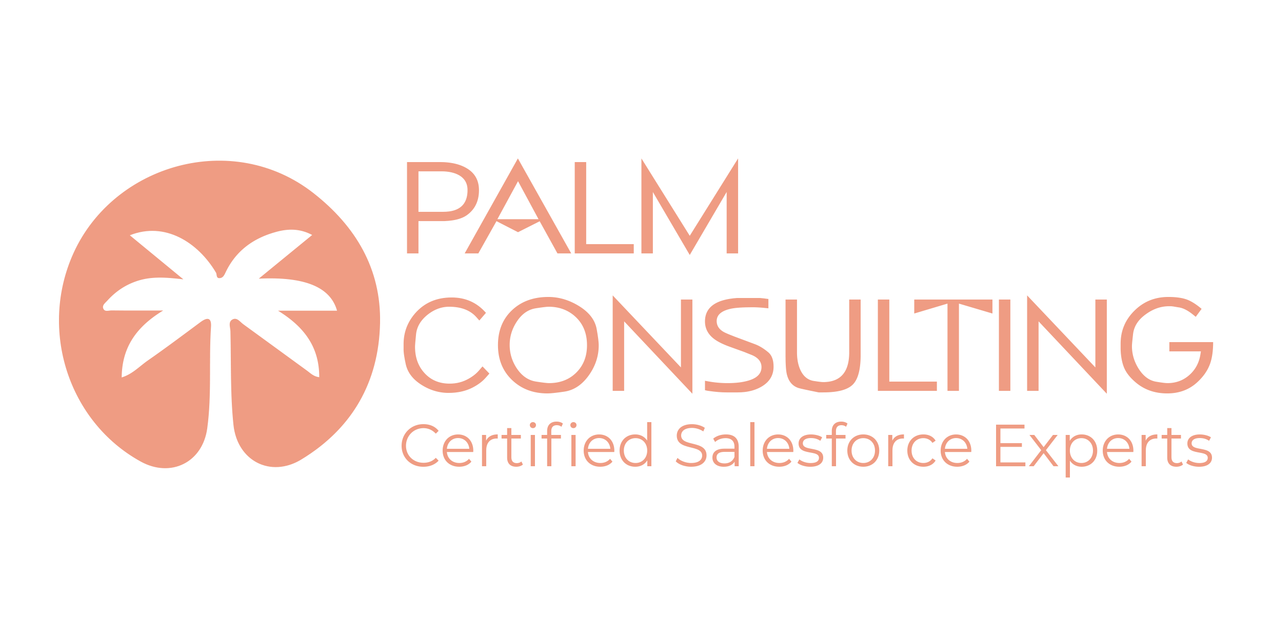 The Next Palm Consulting Group LLC logo