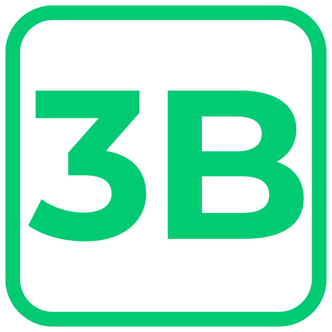 3B for Salesforce logo