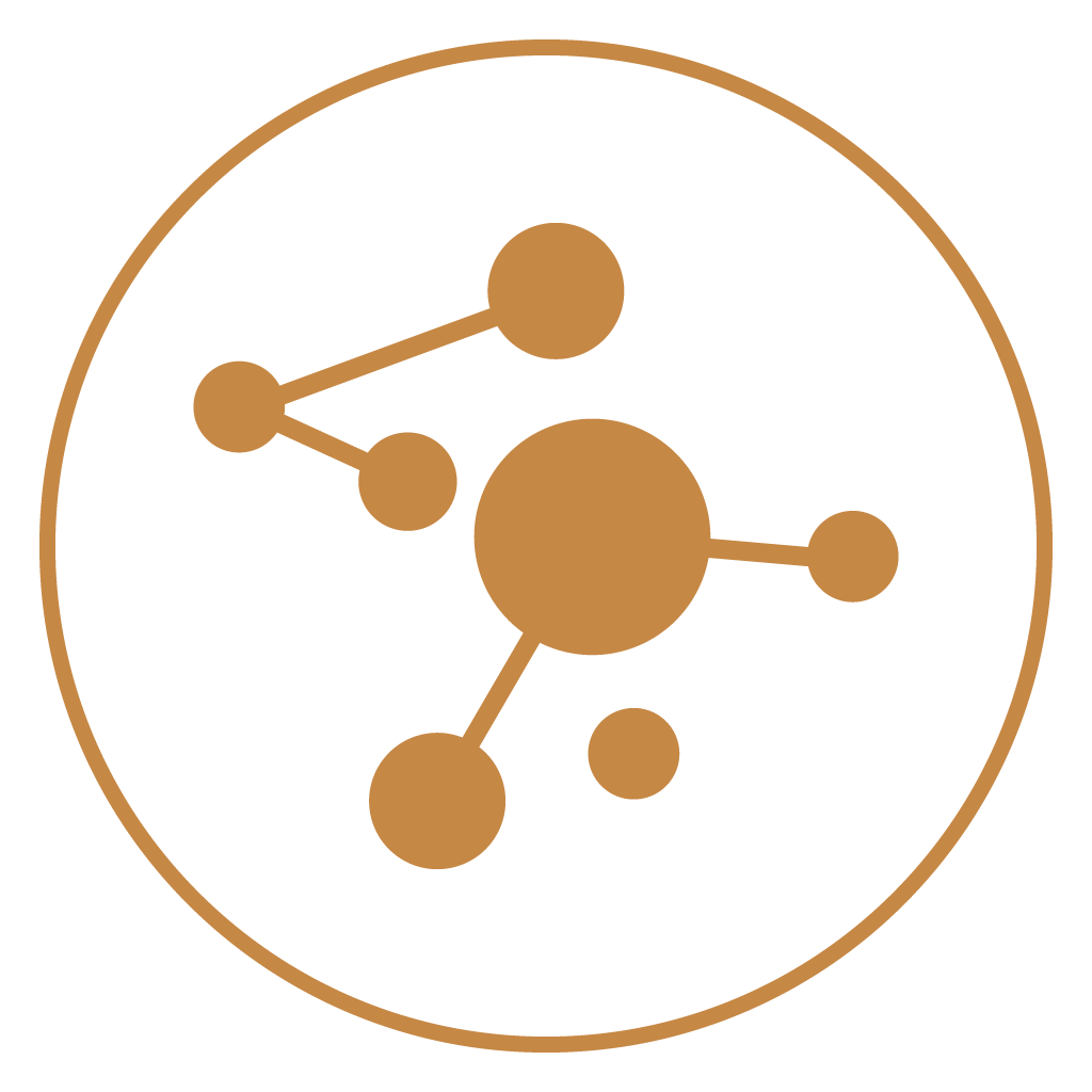 Connexxia Inc. logo