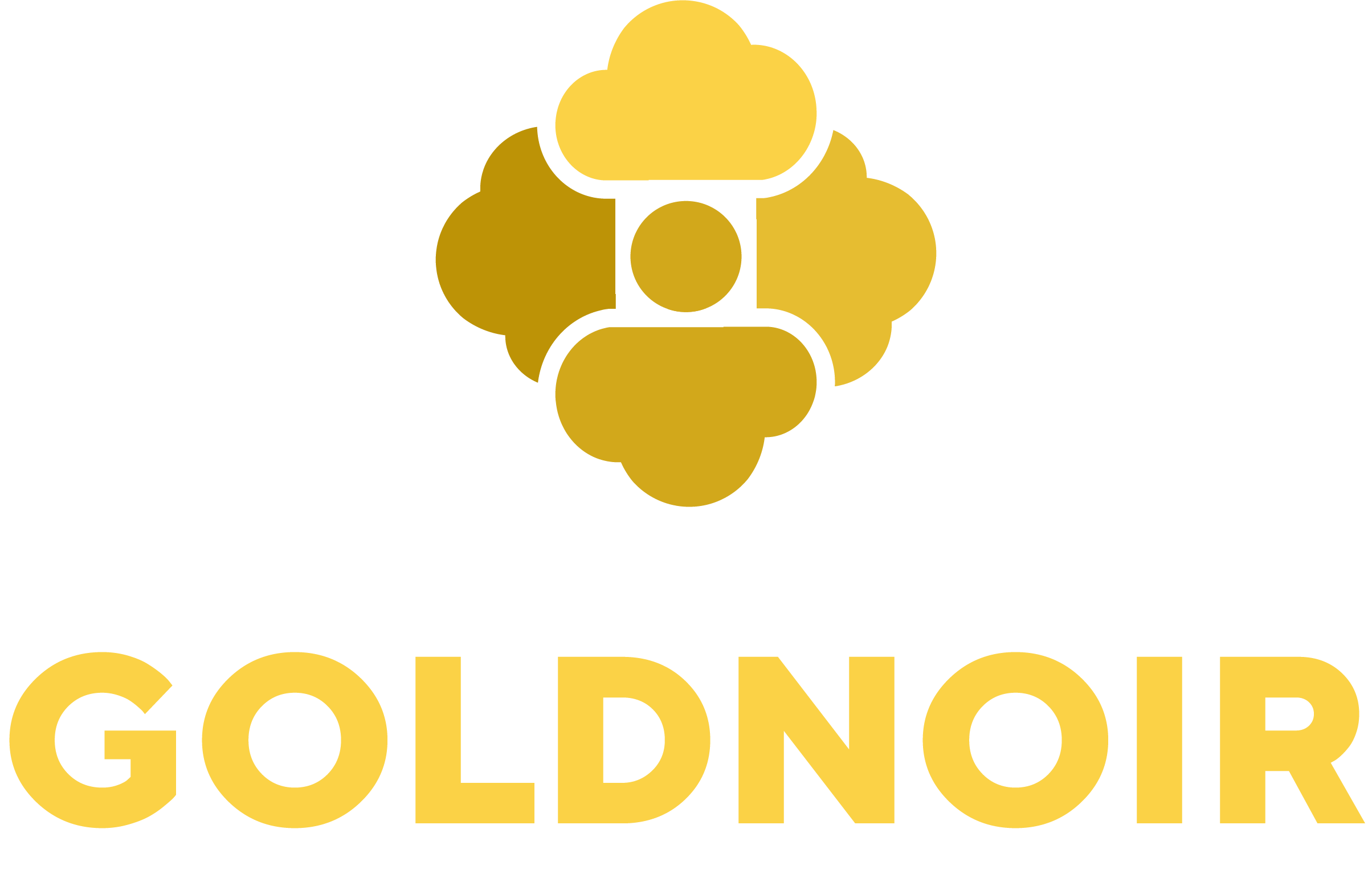 Goldnoir, Inc. logo