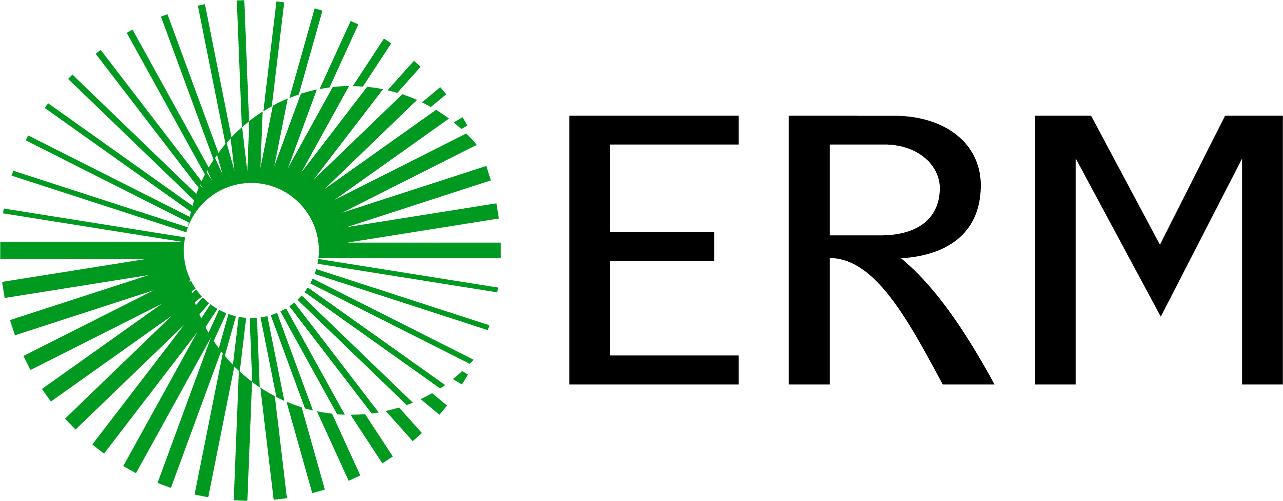 ERM logo