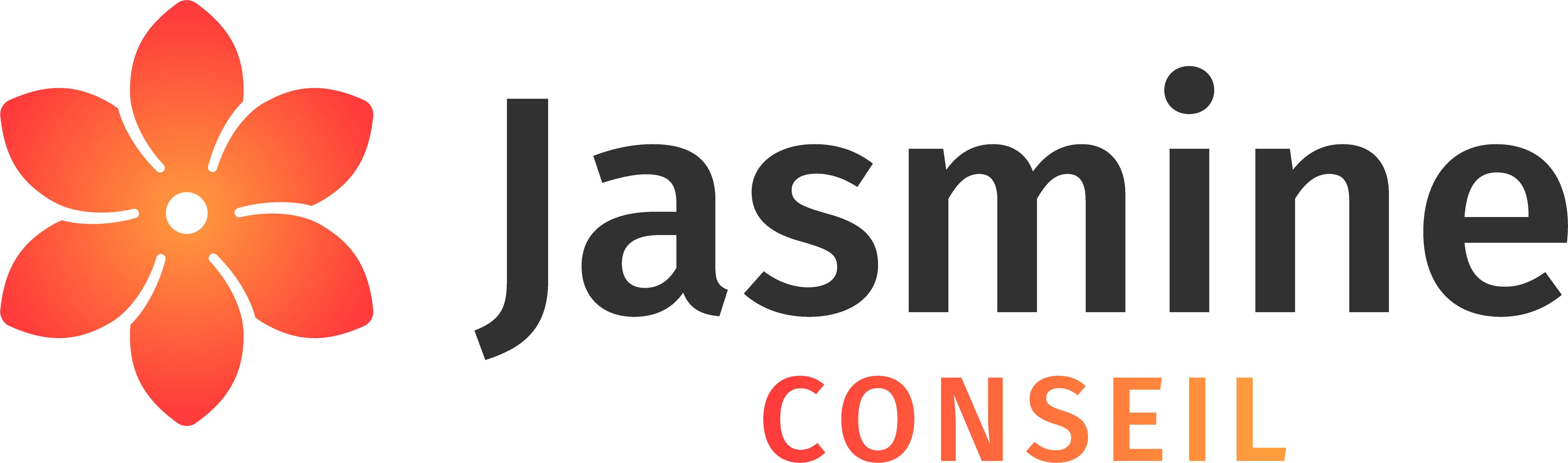 Jasmine Conseil S.A.R.L logo