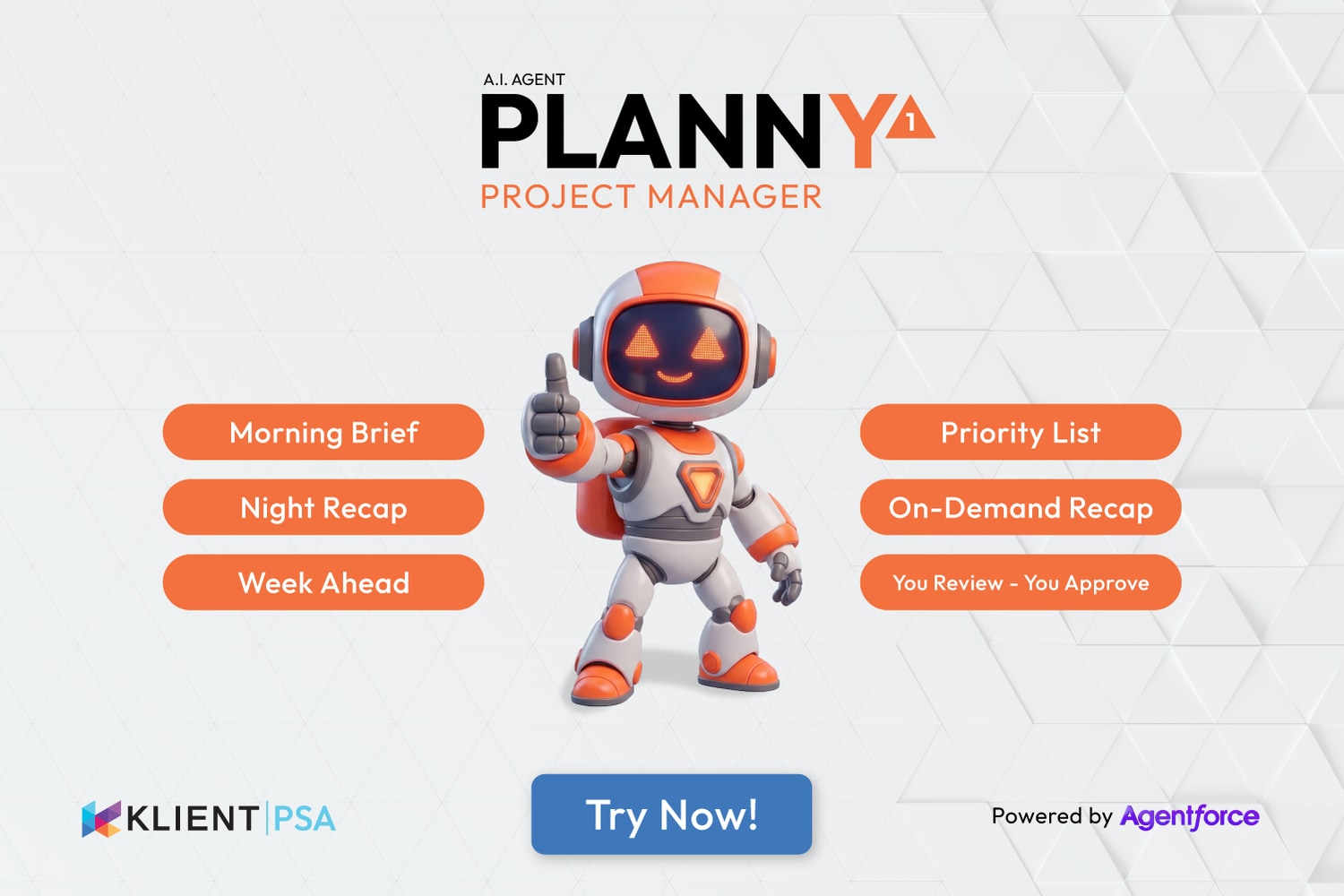 PLANNY1: Agentforce Agent for Project Briefs & Task Updates | Salesforce AgentExchange screenshot 13