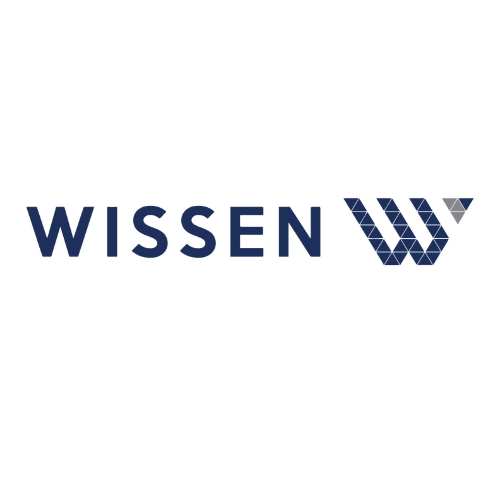 Wissen Infotech logo