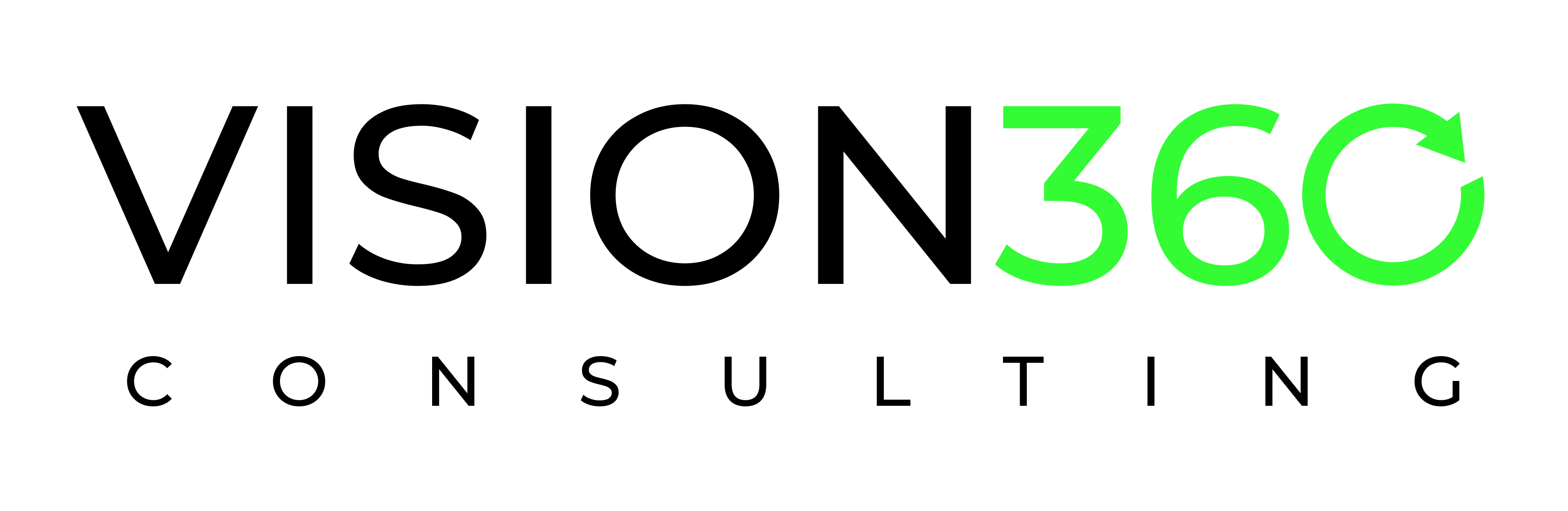 Vision360 Consulting logo