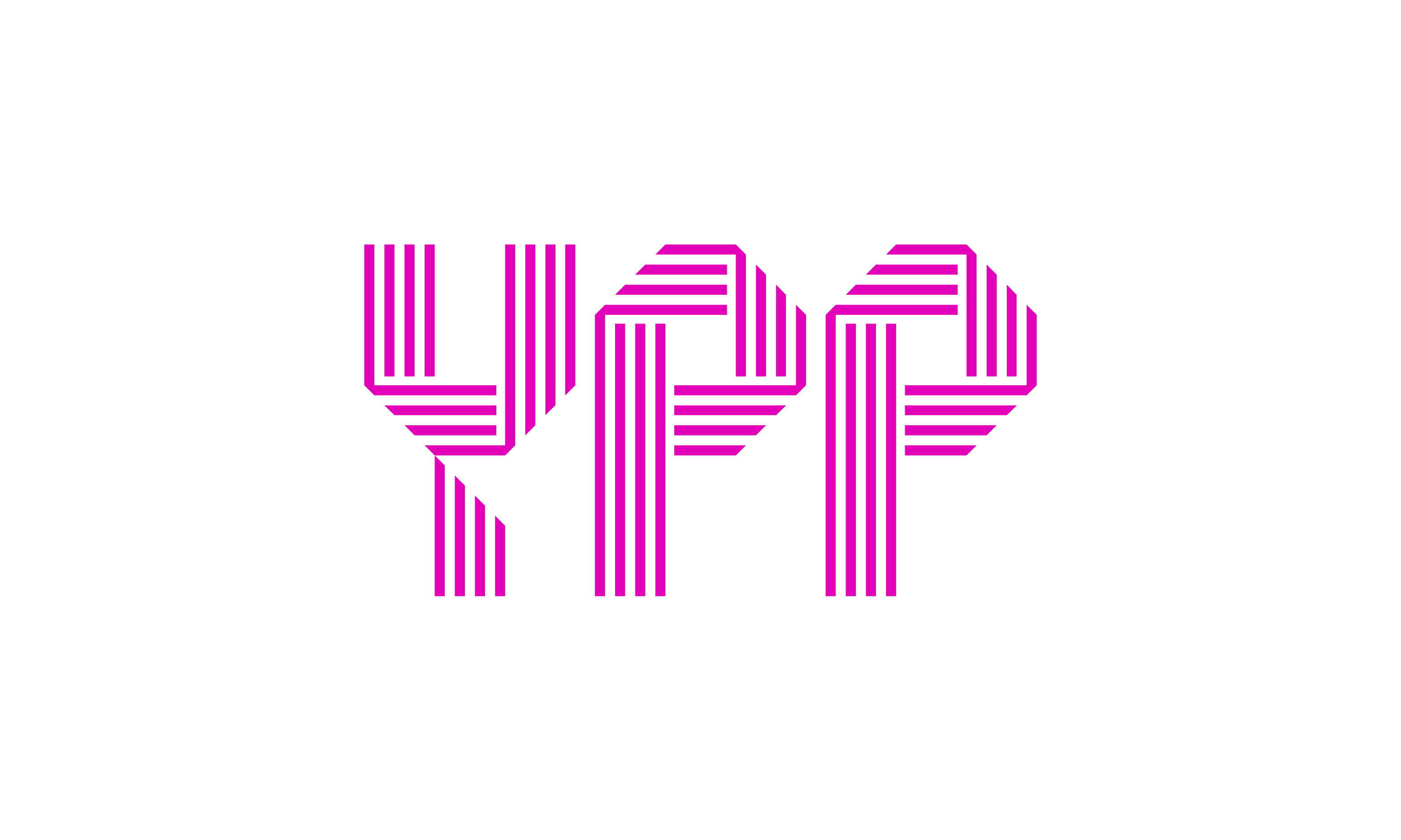 YPP Consulting logo
