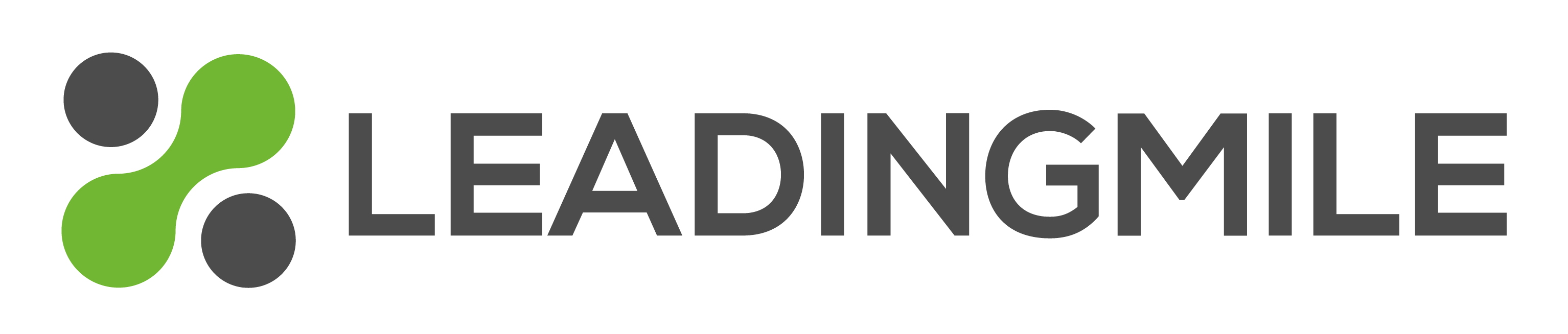 LeadingMile Consulting logo