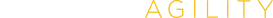 Maestro LLC logo