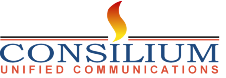 Consilium Software Inc logo