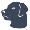 Galvin Technologies logo