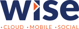 CMS Wise Consulting logo
