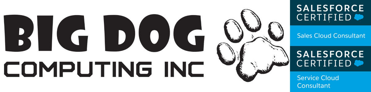 Big Dog Computing logo