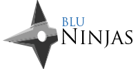 Blu Ninjas, LLC logo