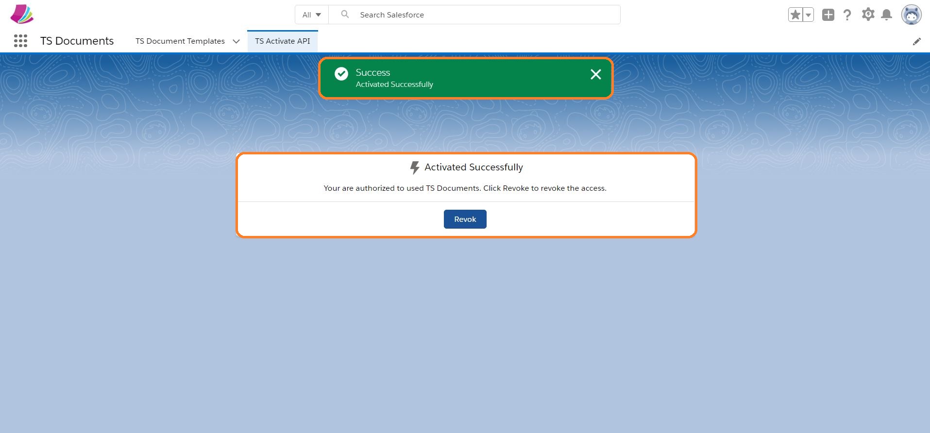 ts documents api activated successfully