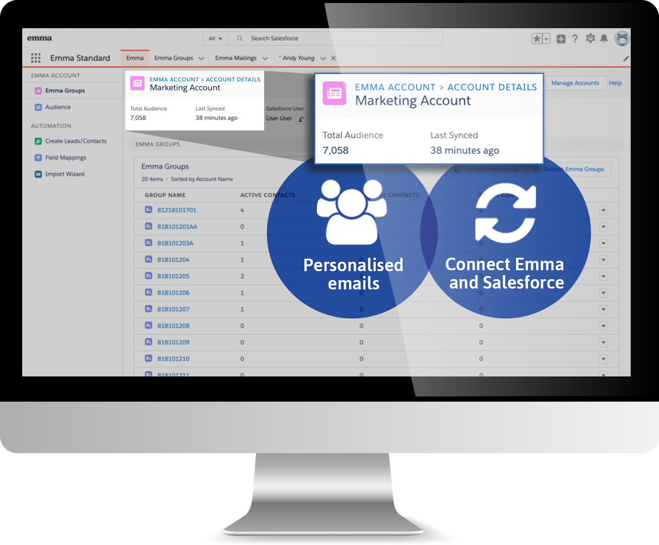 Emma for Salesforce | Email Marketing & Mass Email for Agencies | Salesforce AgentExchange screenshot 5