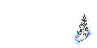 Snowytree LLC logo