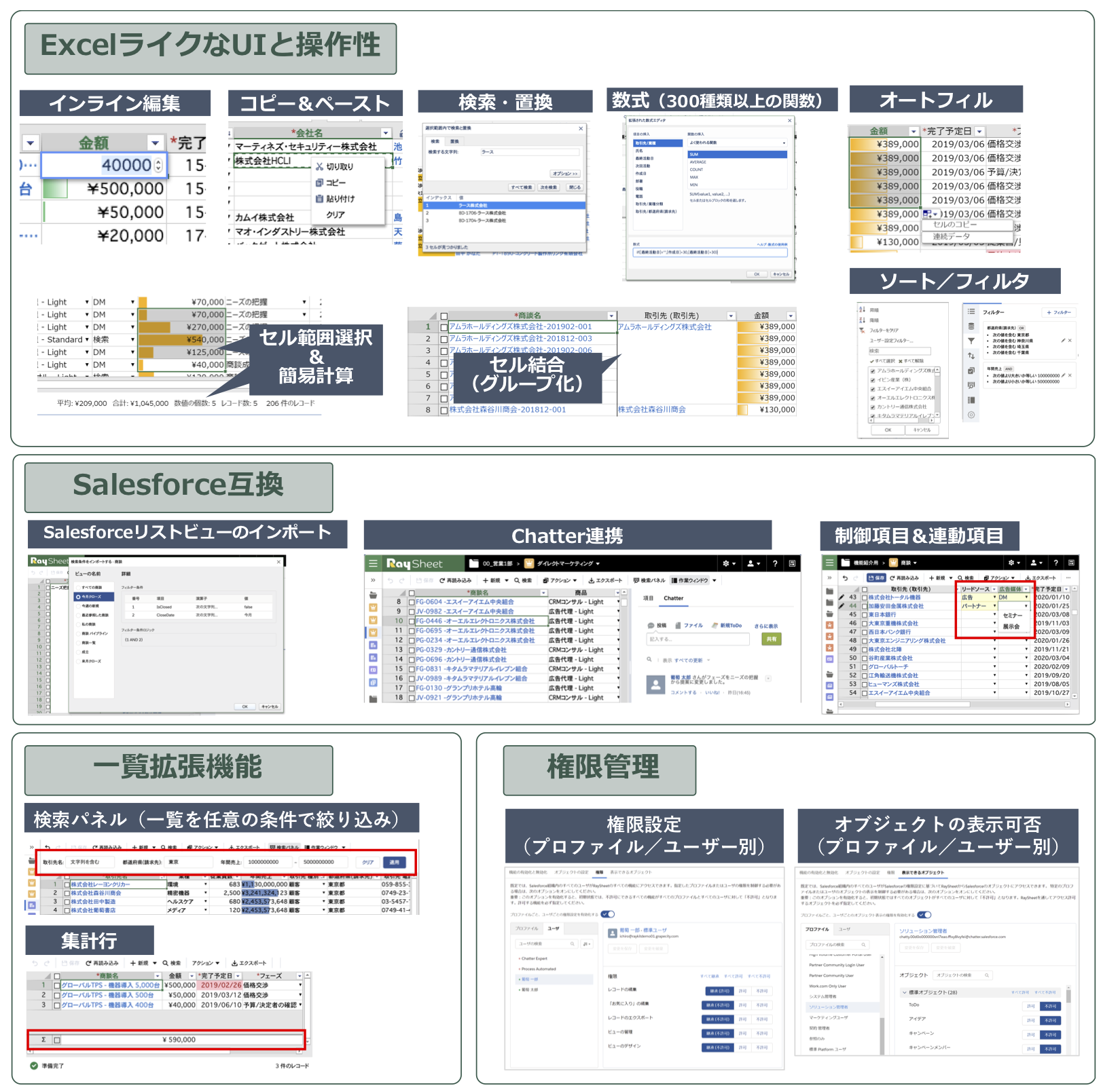 Raysheet Excelのような一覧インターフェースでsalesforceの画面と機能を拡張 グレープシティ株式会社 Appexchange