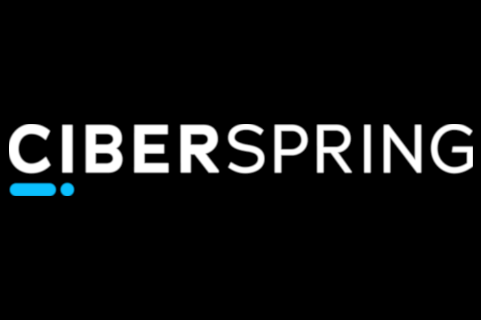 Ciberspring International, LLC logo