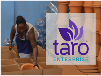 TaroWorks Enterprise: Offline Mobile Inventory Management ...