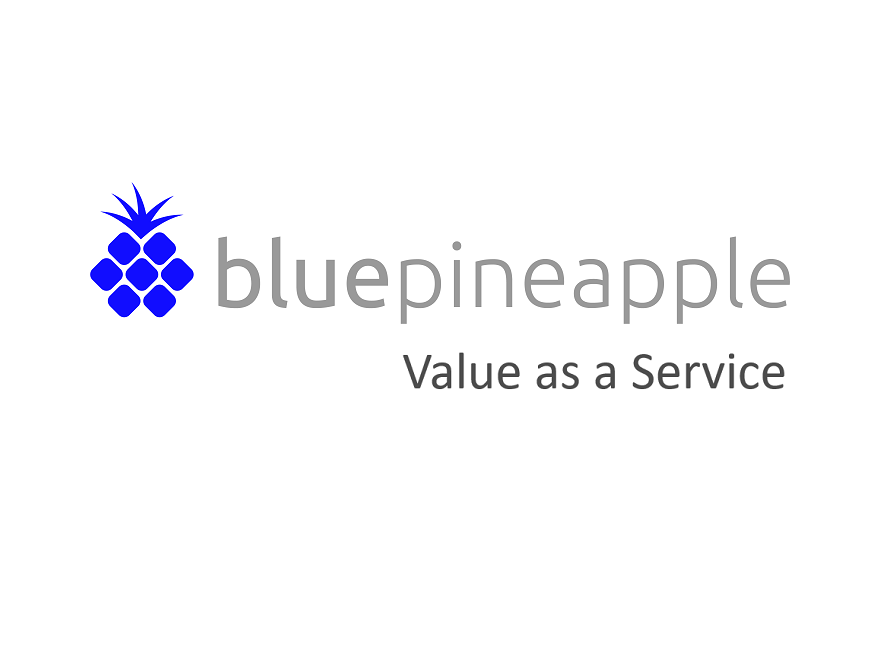 Blue Pineapple Technology – Data, Accounting & HR Outsourcing