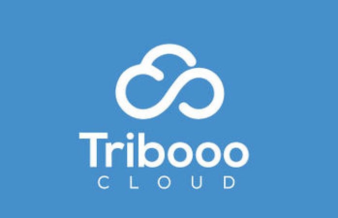 Tribooo logo