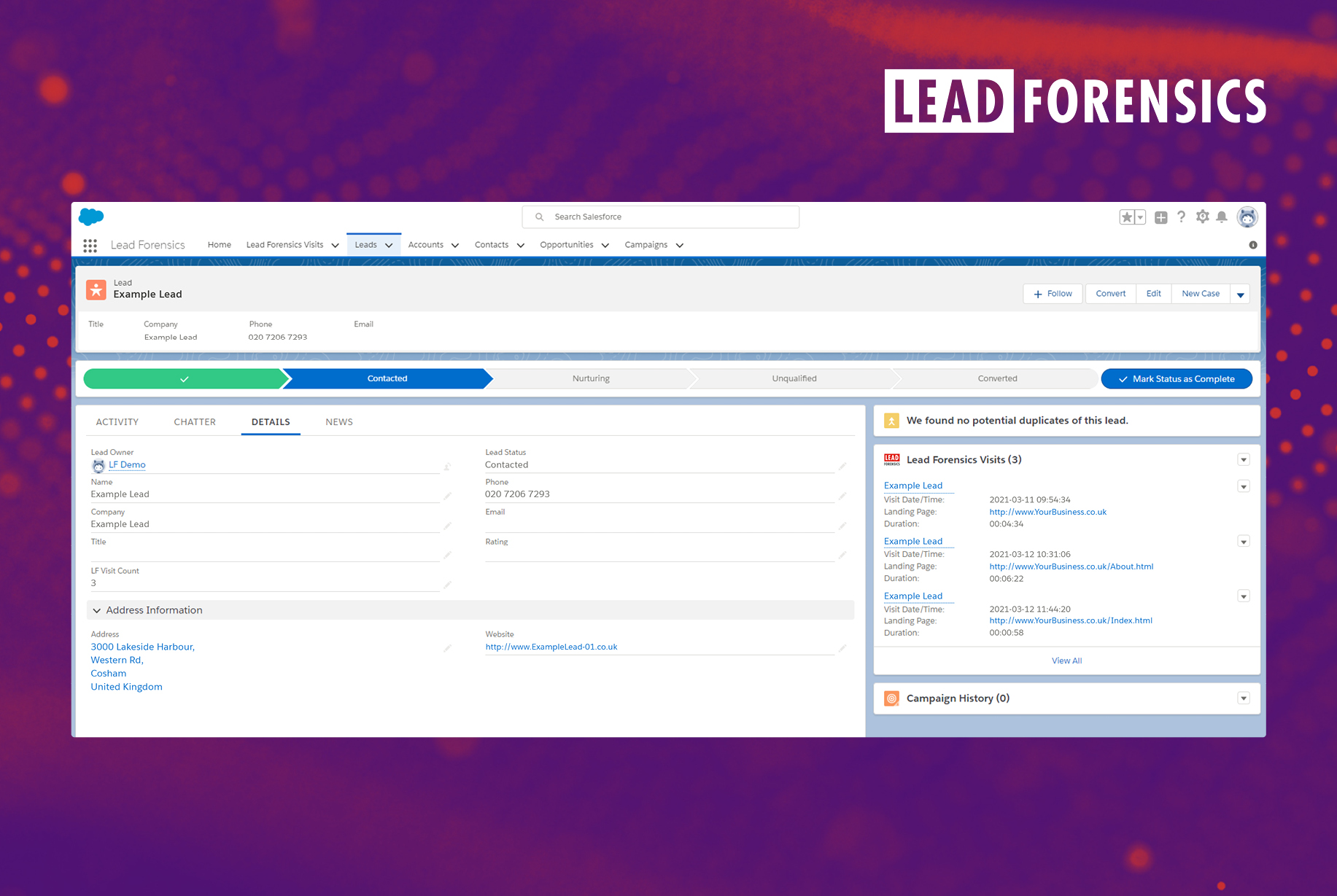 example of lead forensics identified lead inside salesforce