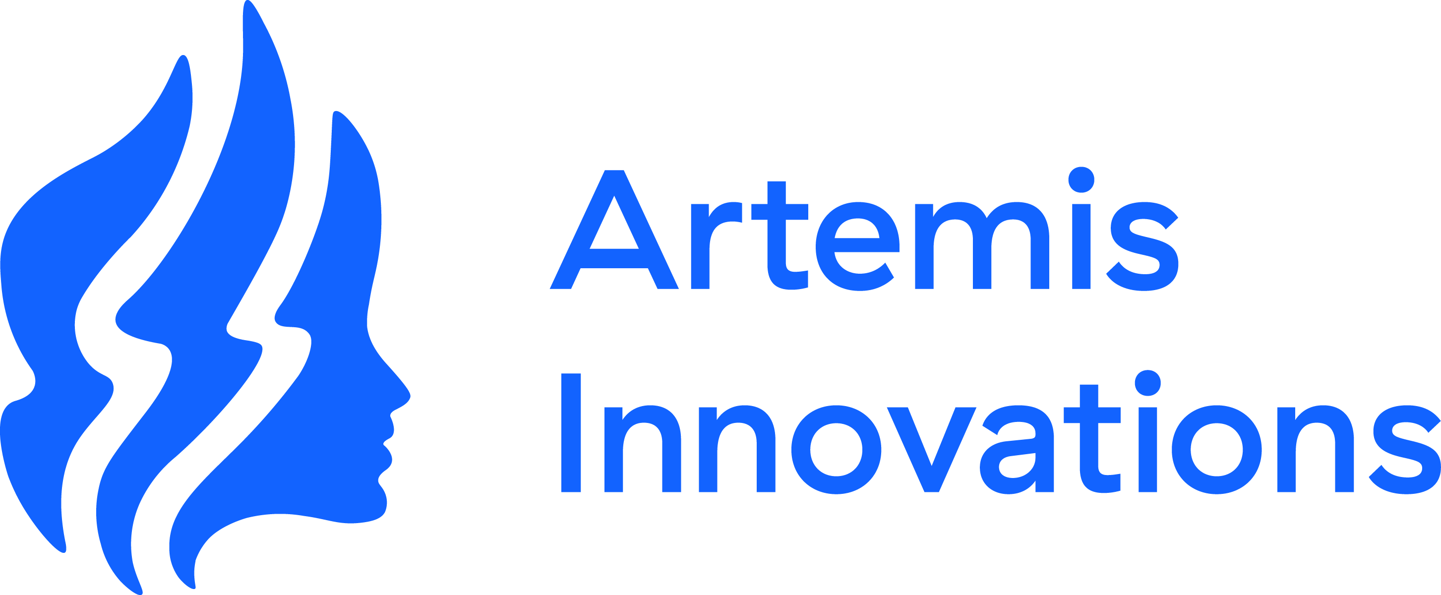 Artemis Innovations GmbH logo