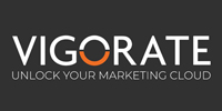 Vigorate Digital Solutions Inc. logo