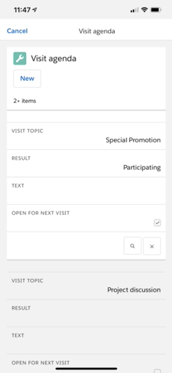 SalesExt - Sales Tour Planning and Visit Report