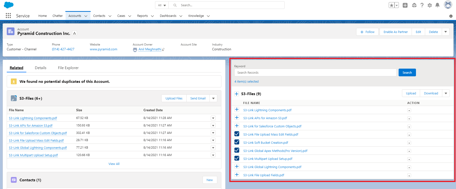 search files account detail