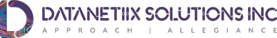 DATANETIIX SOLUTIONS INC logo