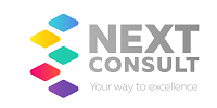 Next Consult, Inc. logo