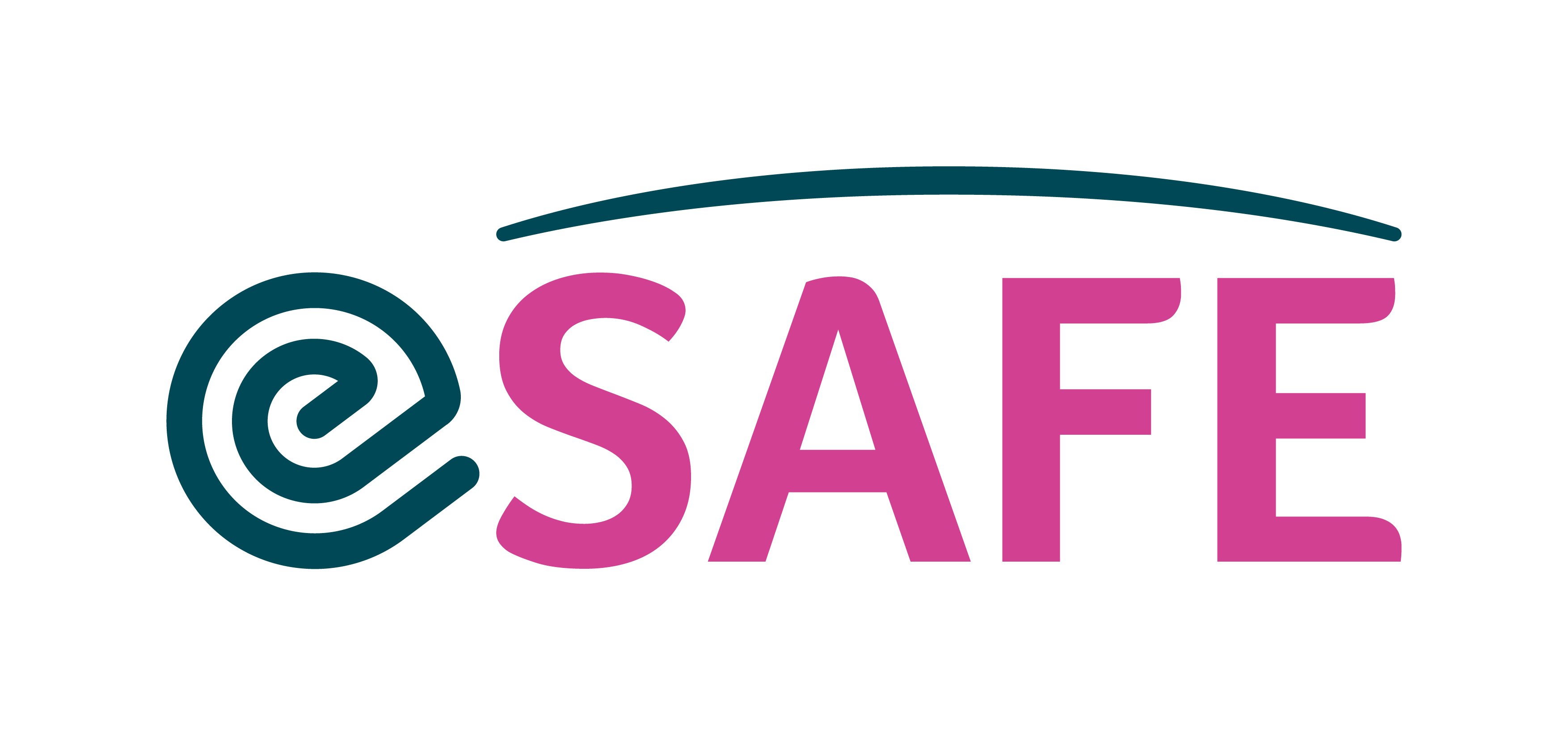 eSAFE - Information Management Solution for Domestic Violence Services