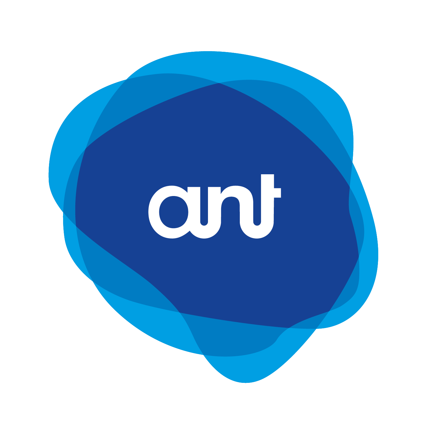 ANT-Informatik AG logo