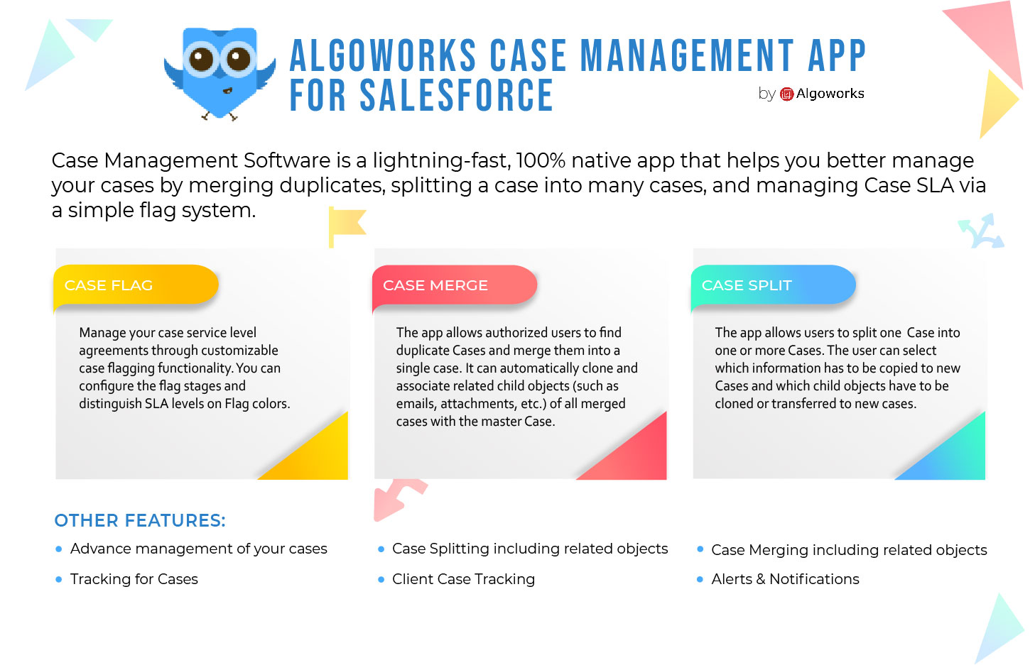 case management explained in a single screen