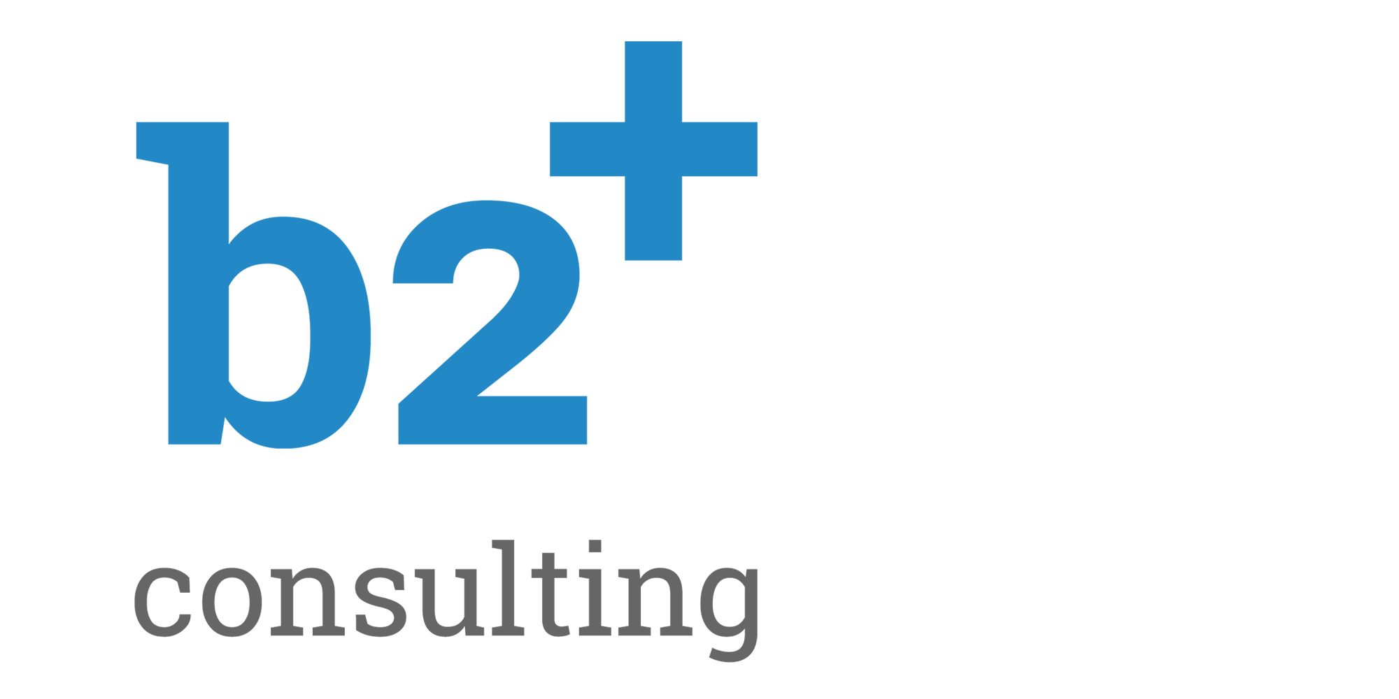 b2plus Consulting GmbH logo