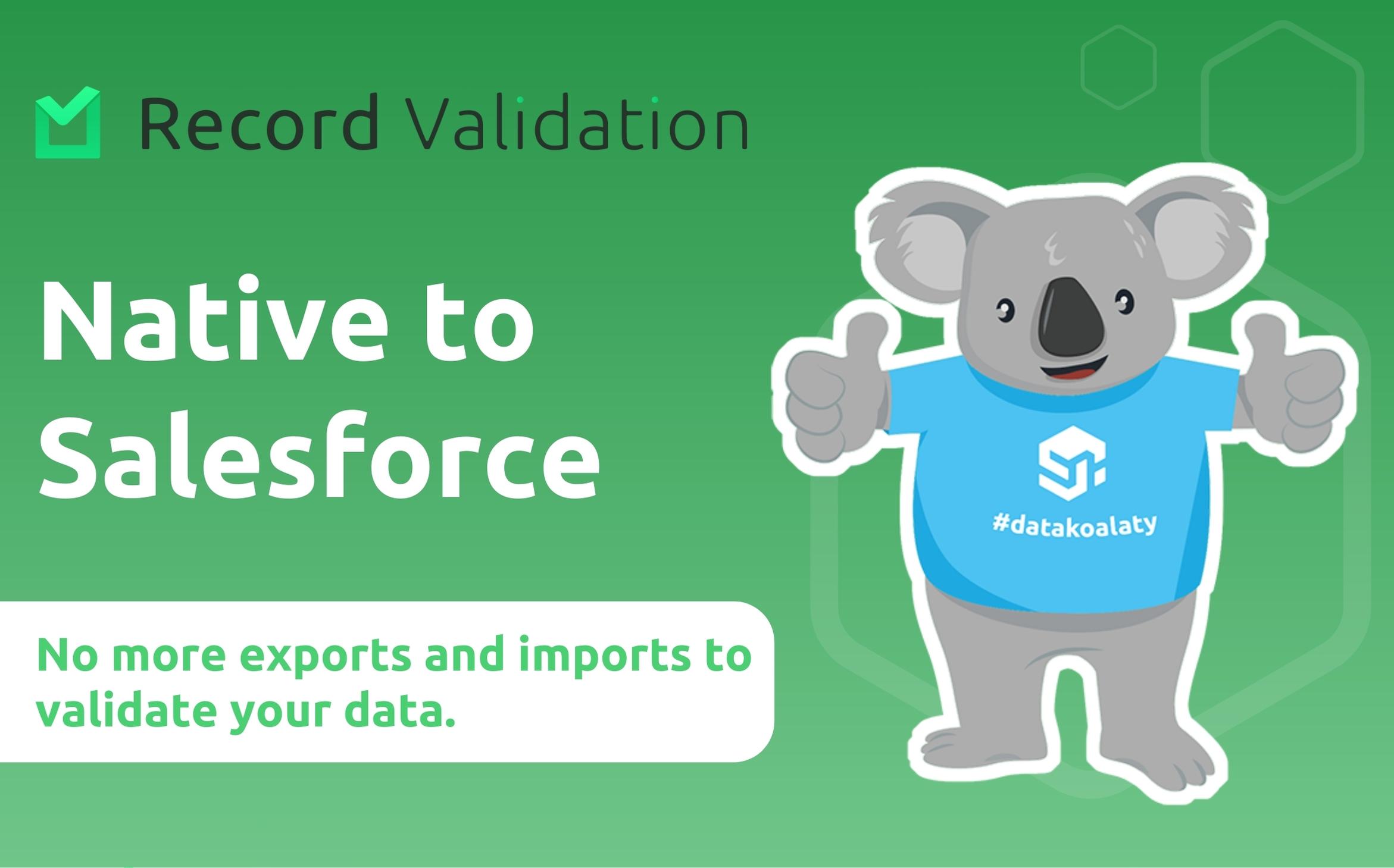 safe-and-secure-within-your-salesforce-instance