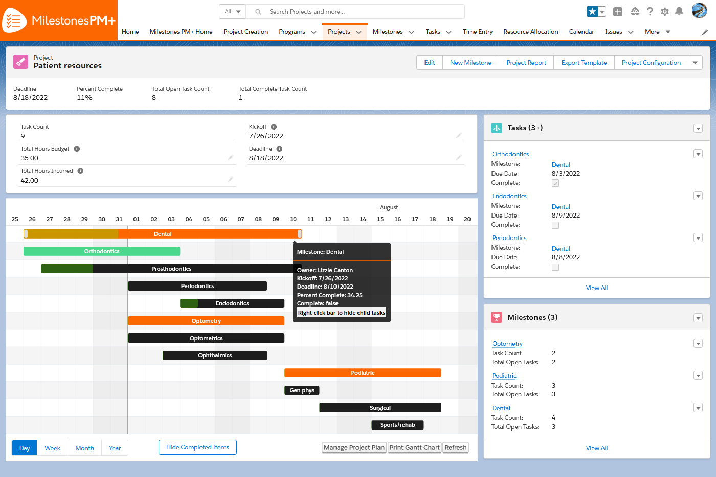 project management made easy with milestones pm+ for salesforce