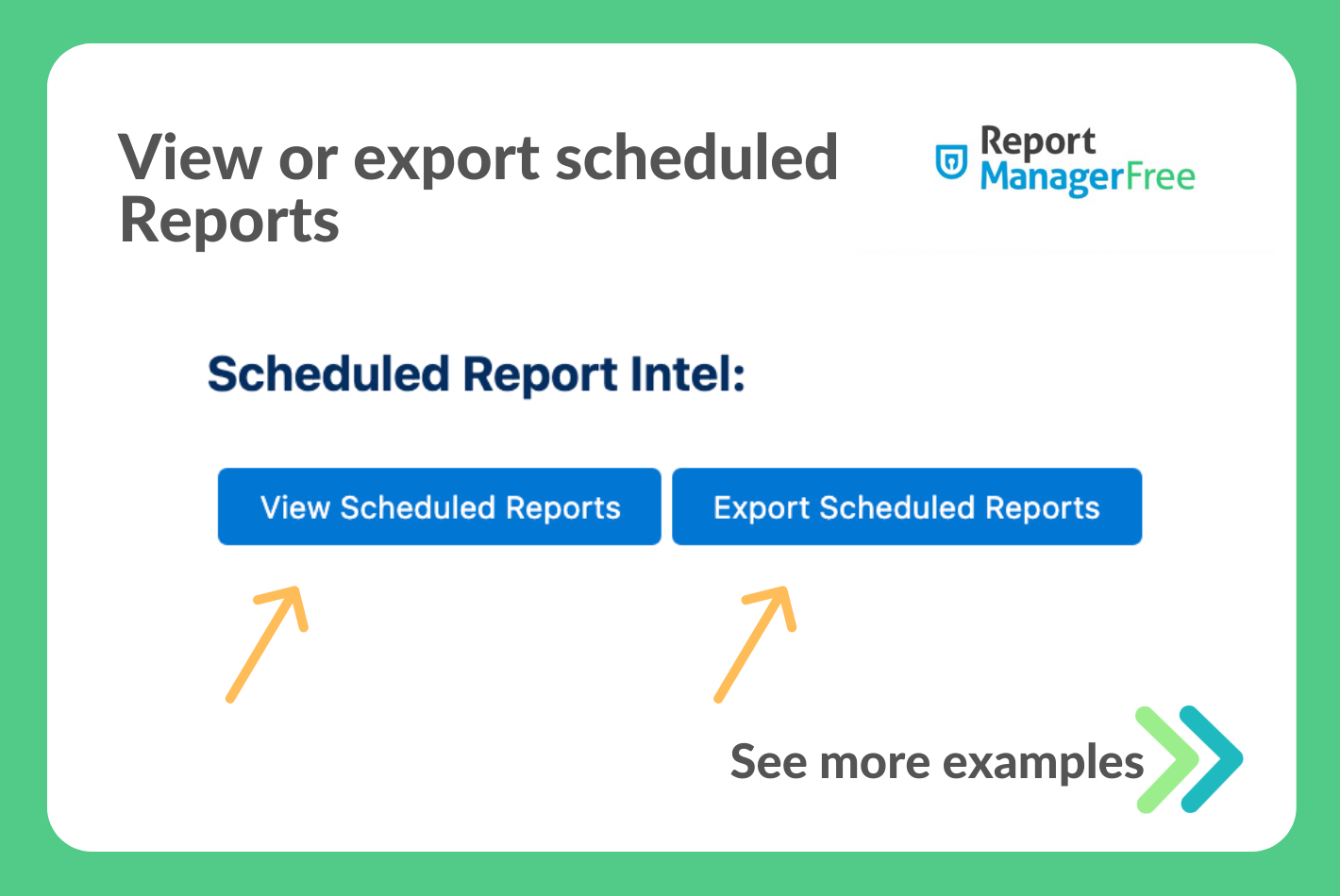 View Reports