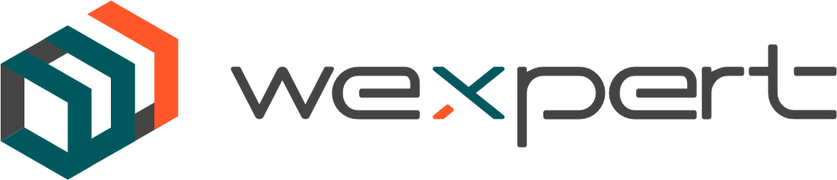 Wexpert Consulting Ltda logo