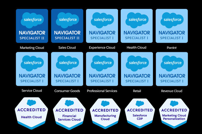 Revenue-Cloud-Consultant-Accredited-Professional Online Test