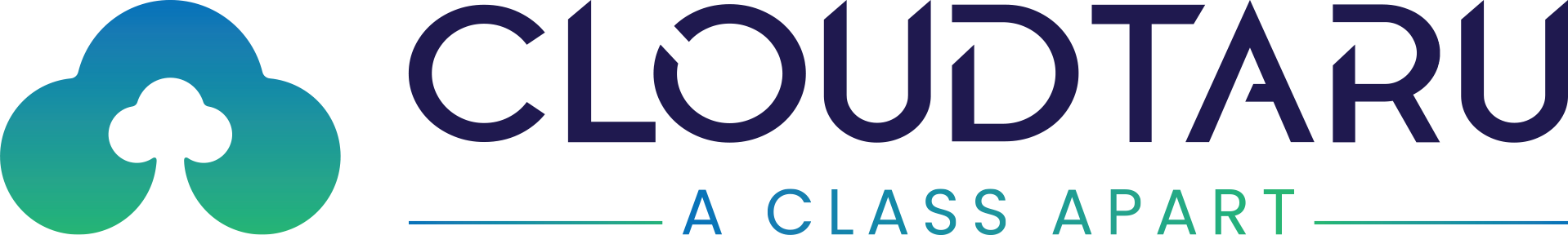 CLOUDTARU INFOTECH PRIVATE LIMITED logo