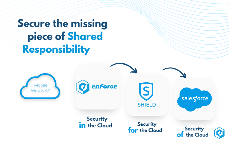 salesforce cloud security
