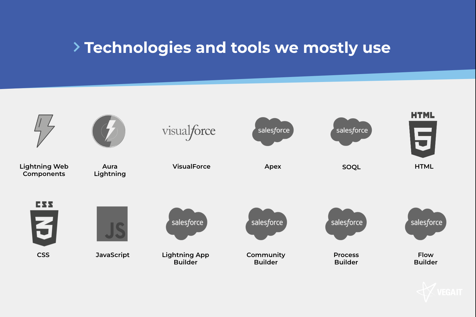 vega it development administration integration customisation services