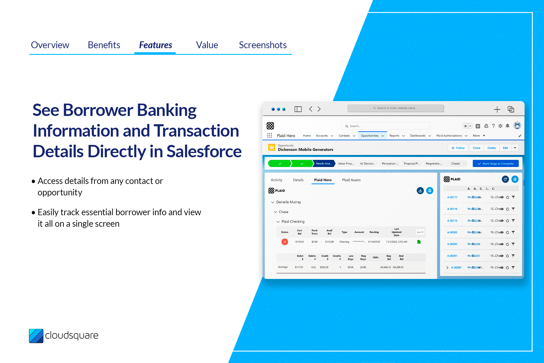 Cloudsquare BankLink Bank Verification and Risk Analysis via Plaid