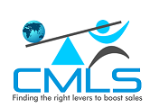 CM Leveraged Solutions logo