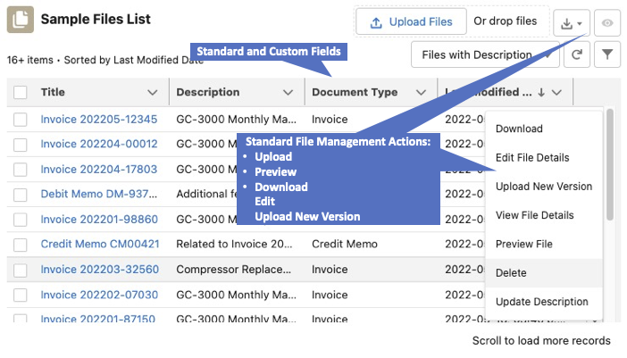 files-list-with-custom-fields-and-standard-file-management-actions